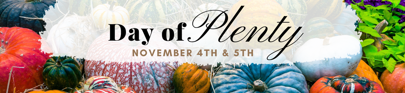 Day of Plenty Banner